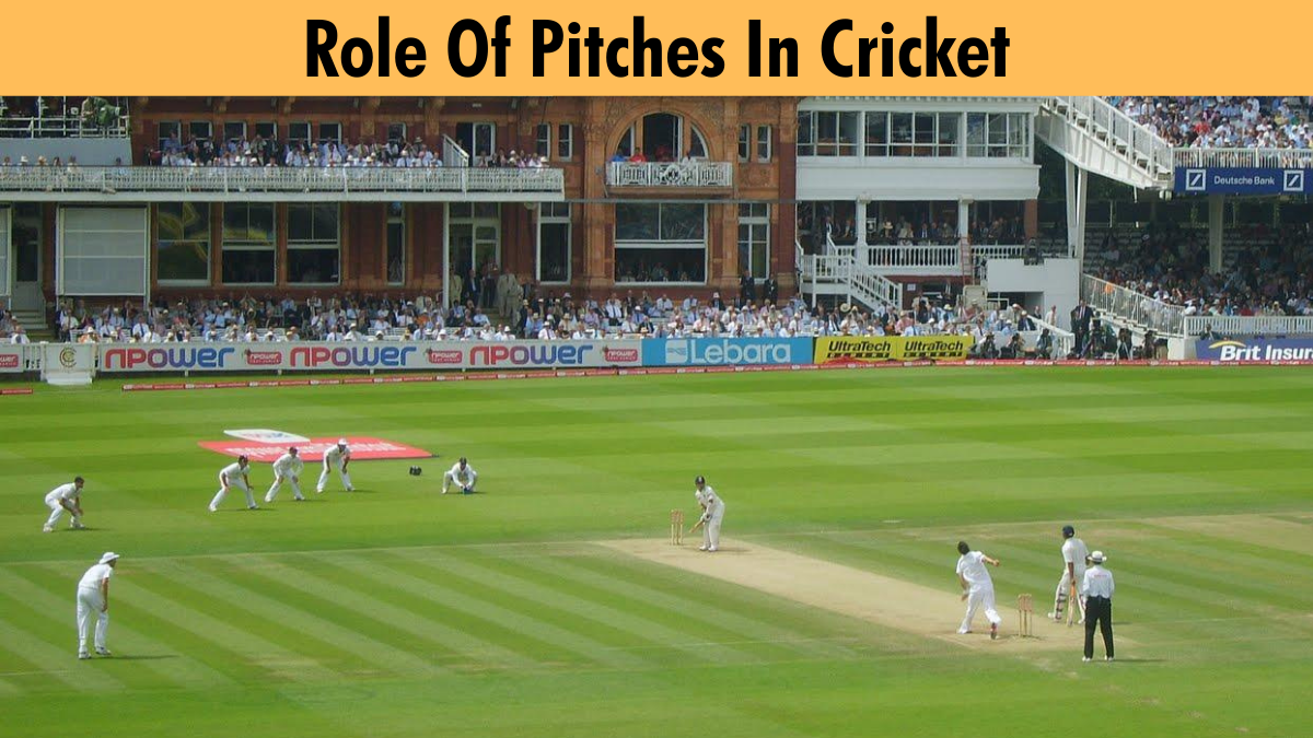 Important Role Pitches Play In Cricket