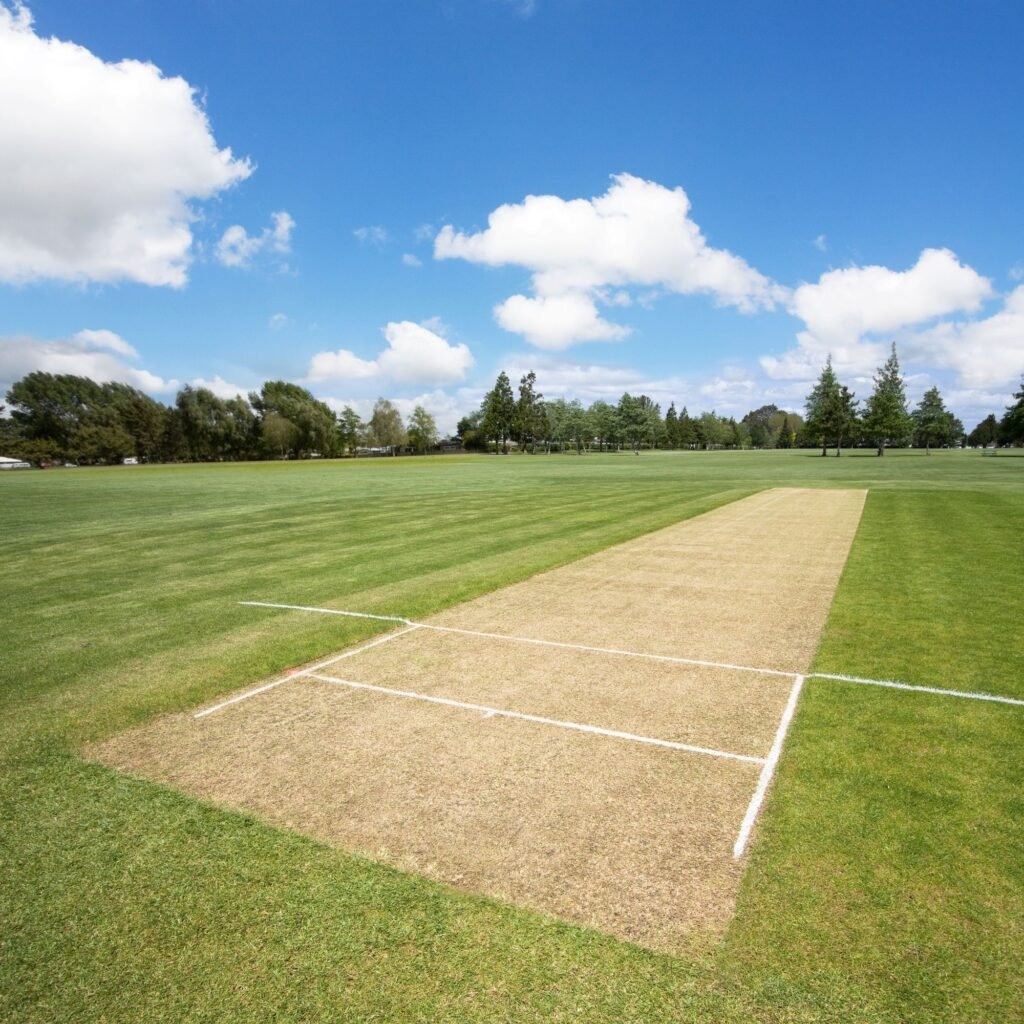 Important Role Pitches Play In Cricket - Pitch